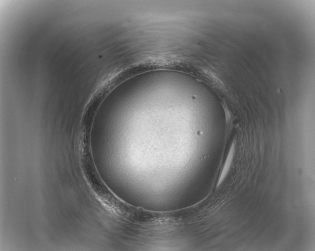 X0000064750736200602241835