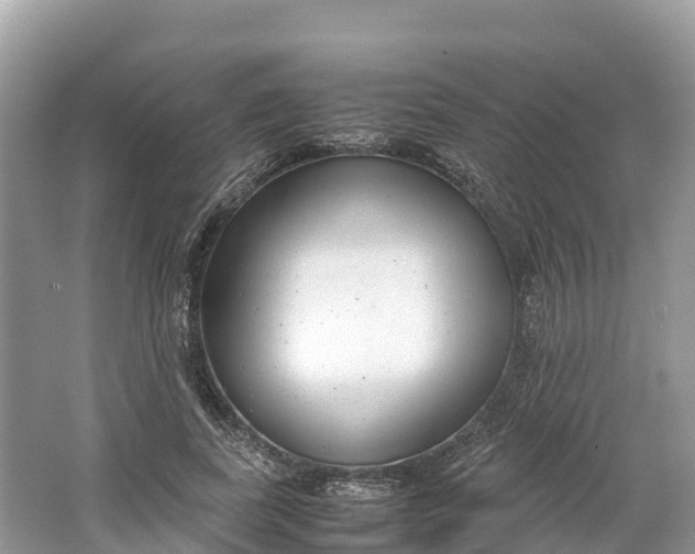 X0000064750739200602241835