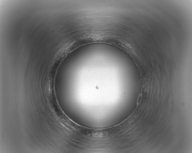 X0000064750740200602241835