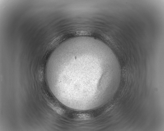 X0000064750741200602241835