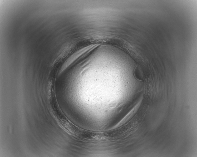 X0000064750742200602241835