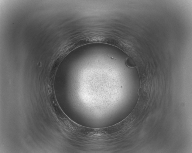 X0000064750743200602241835