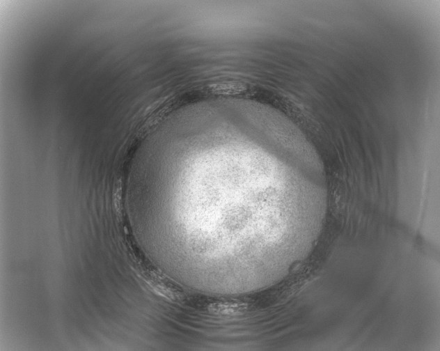 X0000064750745200602241835