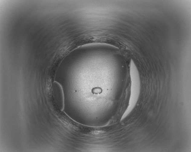 X0000064750748200602241835