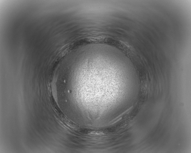 X0000064750749200602241835