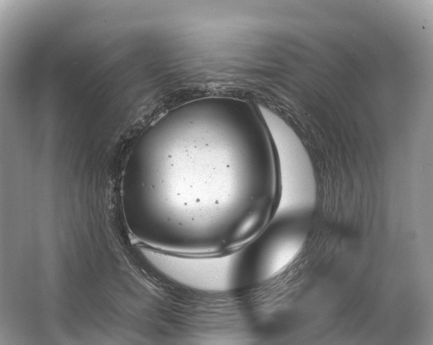 X0000064750750200602241835