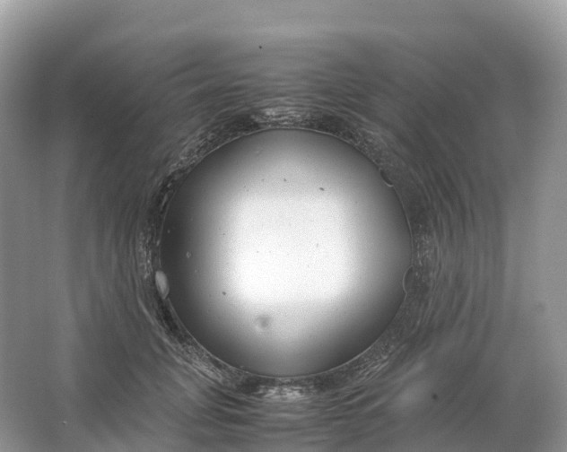 X0000064750751200602241835