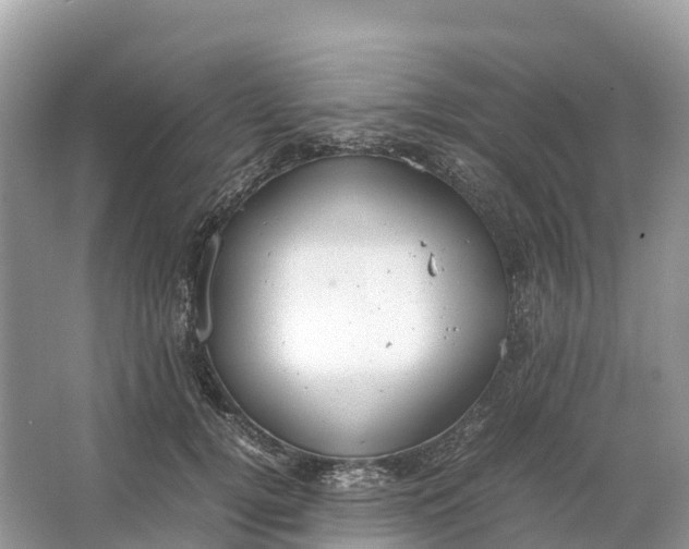 X0000064750752200602241835