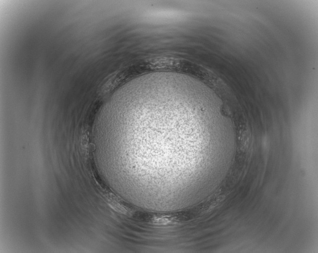 X0000064750753200602241835