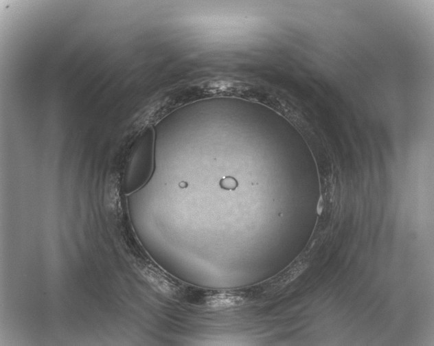 X0000064750754200602241835