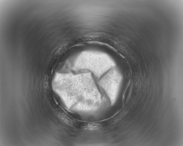 X0000064750758200602241836