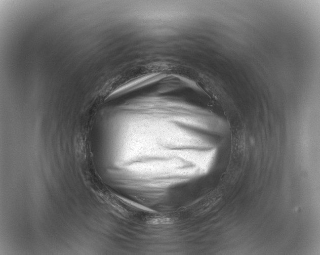 X0000064750759200602241836