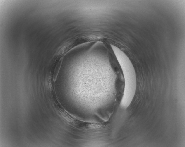 X0000064750762200602241836