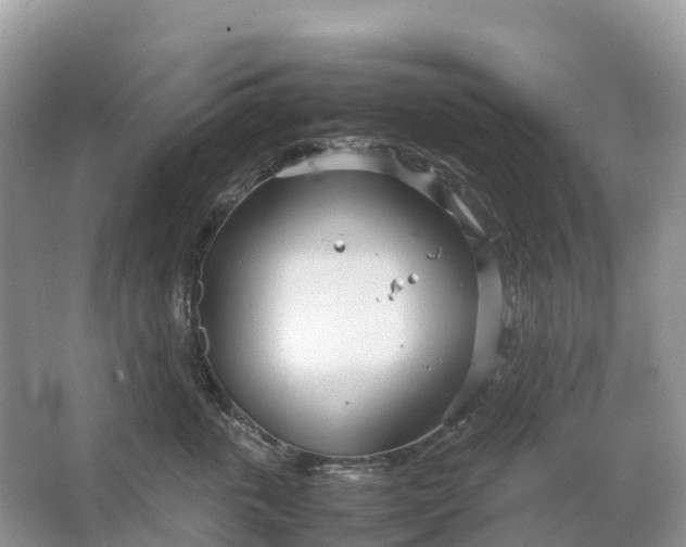 X0000064750763200602241836