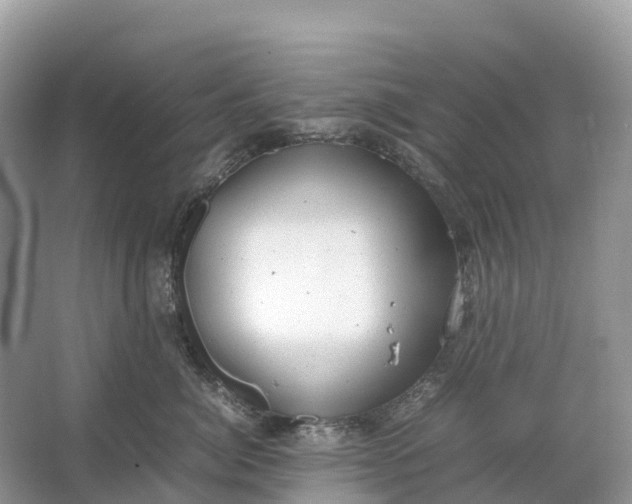 X0000064750764200602241836