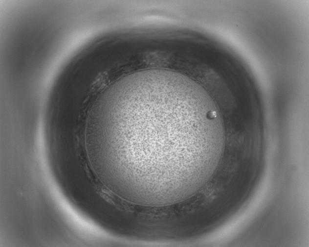 X0000064750765200602241836