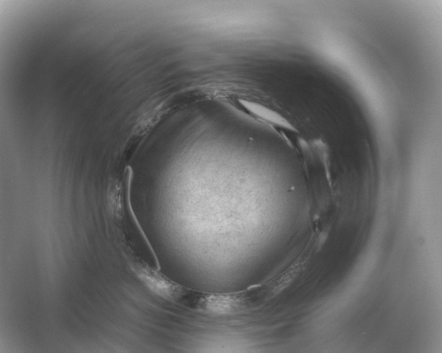 X0000064750766200602241836