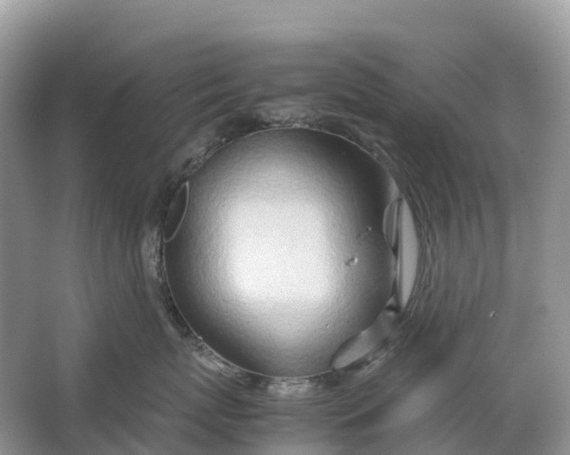 X0000064750767200602241836