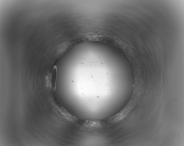 X0000064750768200602241836