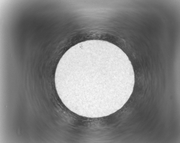 X0000064750769200602241835