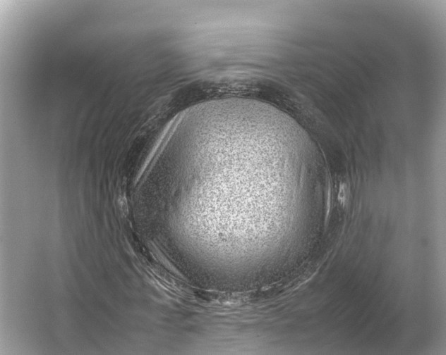 X0000064750771200602241834