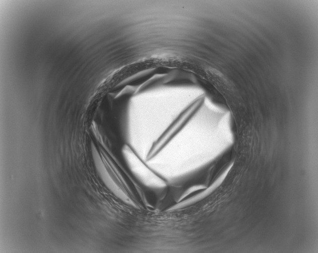 X0000064750776200602241834