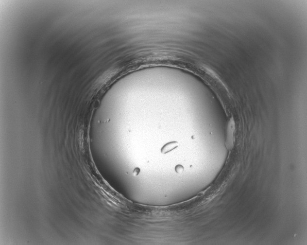 X0000064750777200602241834