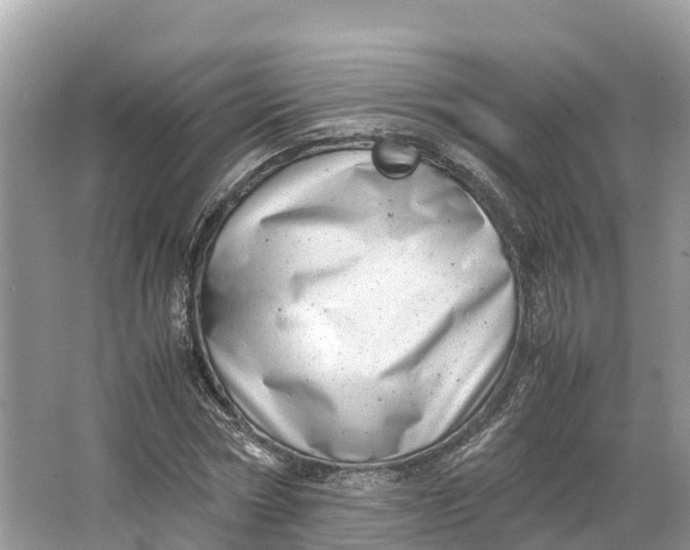 X0000064750778200602241834