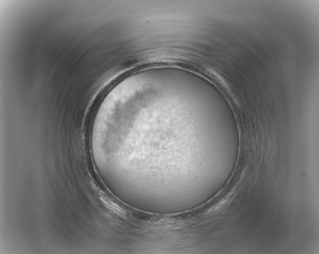 X0000064750779200602241834