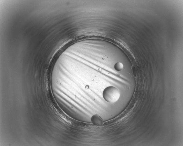 X0000064750782200602241834