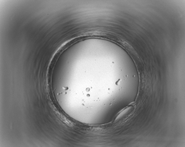 X0000064750784200602241834