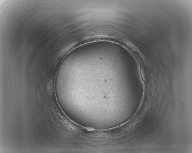 X0000064750785200602241834