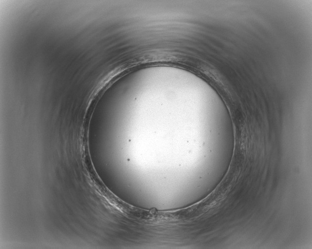 X0000064750786200602241834