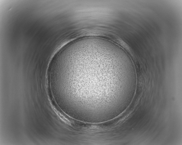 X0000064750787200602241834