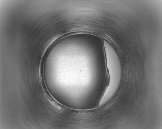 X0000064750788200602241834