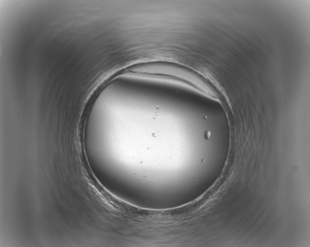 X0000064750789200602241834