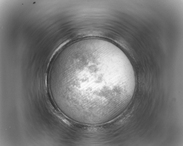 X0000064750790200602241834