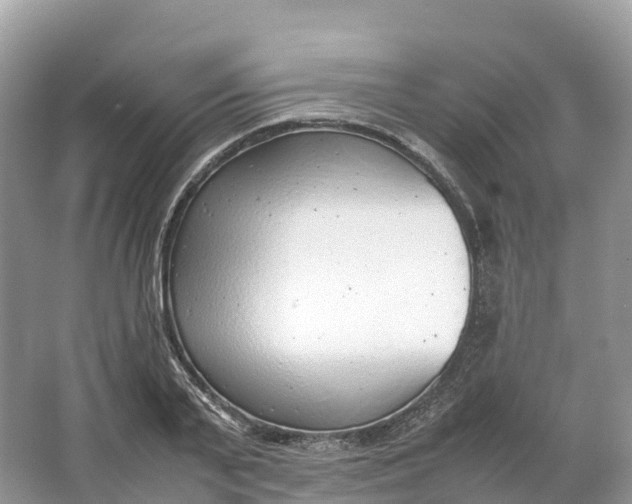 X0000064750791200602241834