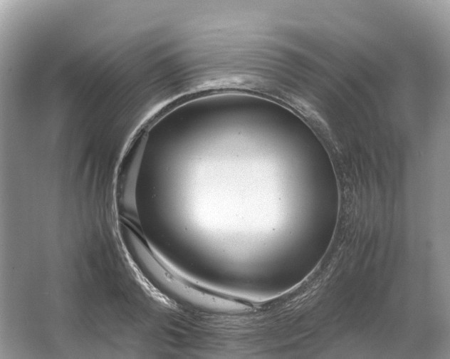 X0000064750792200602241834