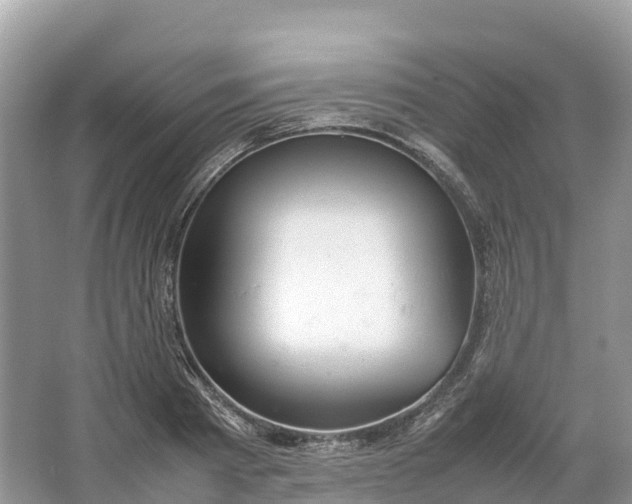 X0000064750793200602241834