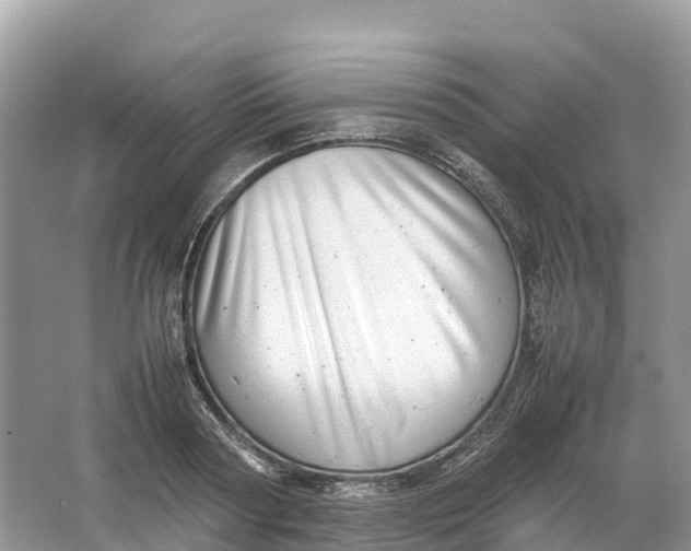 X0000064750794200602241834