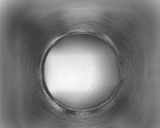 X0000064750795200602241834