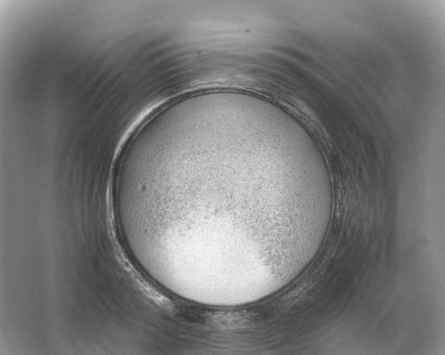 X0000064750796200602241834