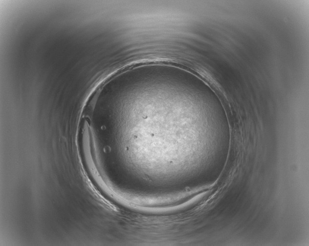 X0000064750797200602241834