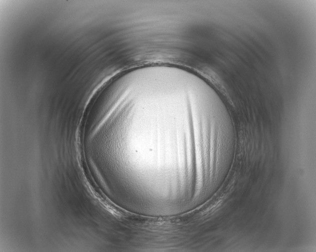 X0000064750798200602241834