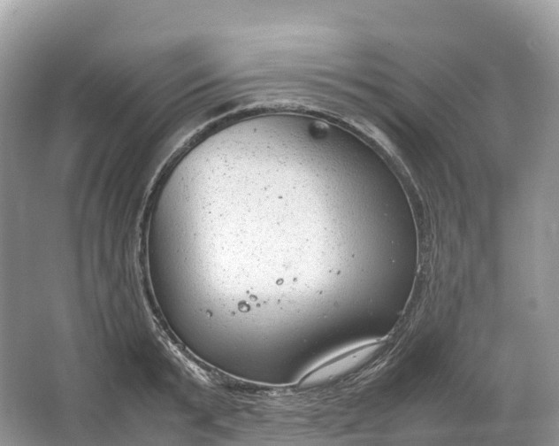 X0000064750799200602241834