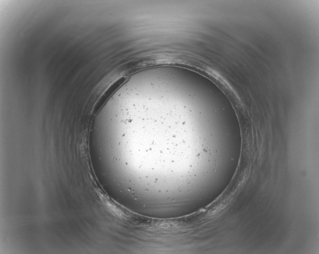 X0000064750801200602241834