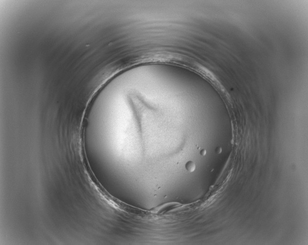 X0000064750802200602241834