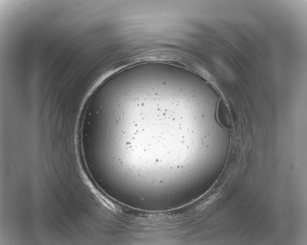 X0000064750803200602241834