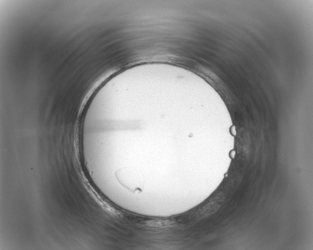 X0000064750804200602241834